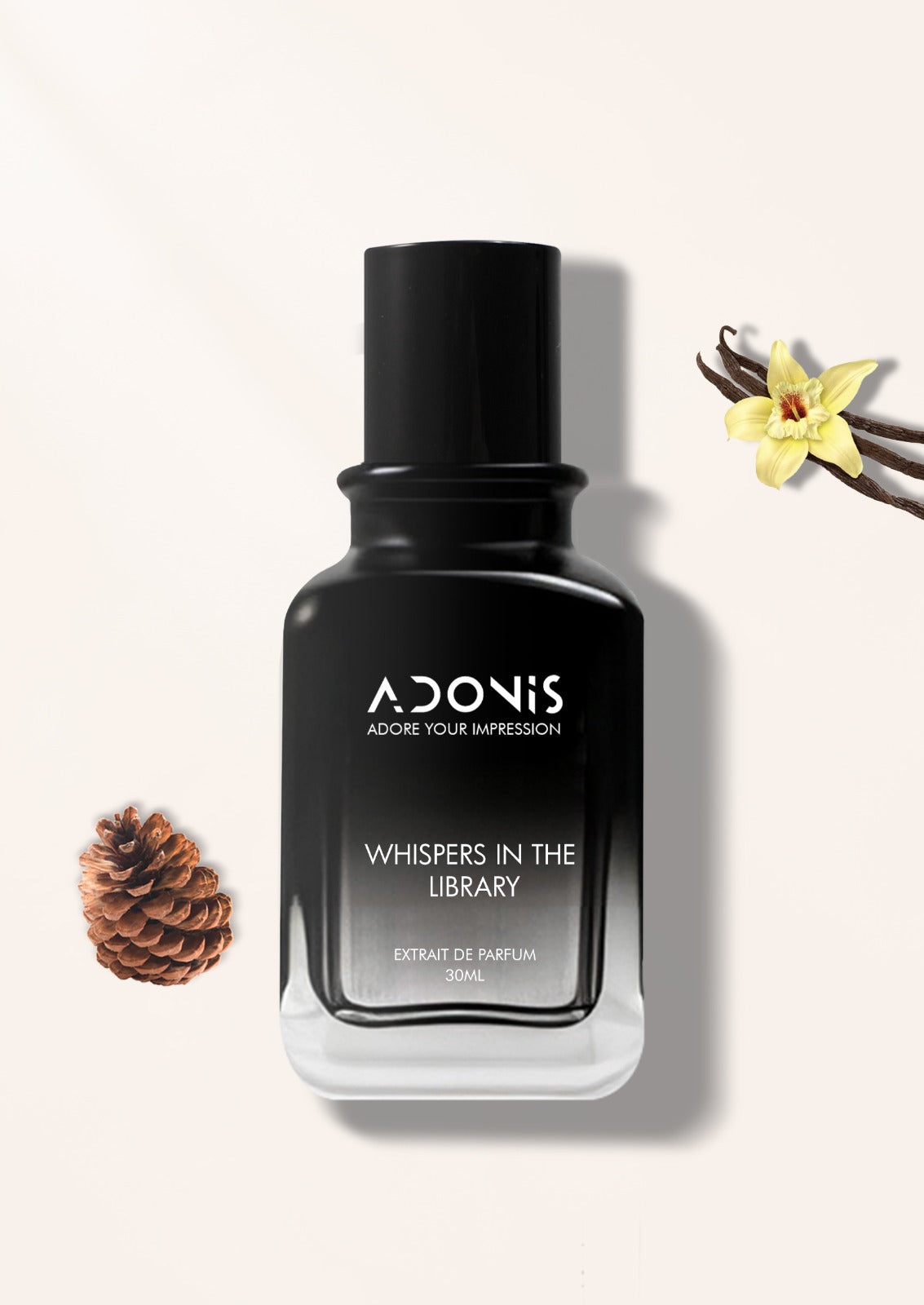 WHISPERS IN THE LIBRARY