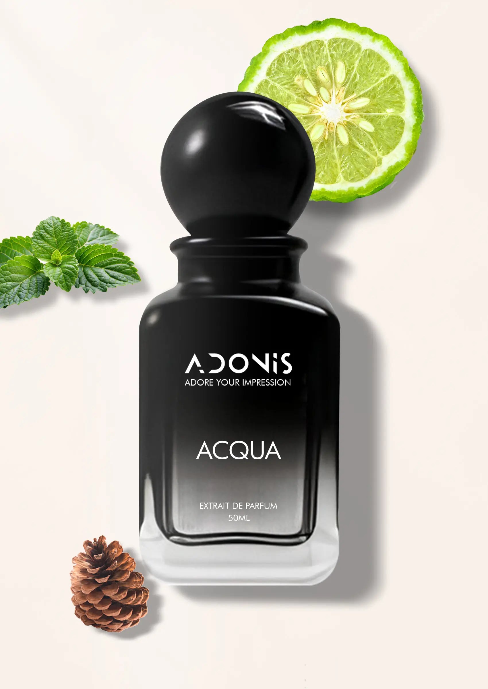 ACQUA
