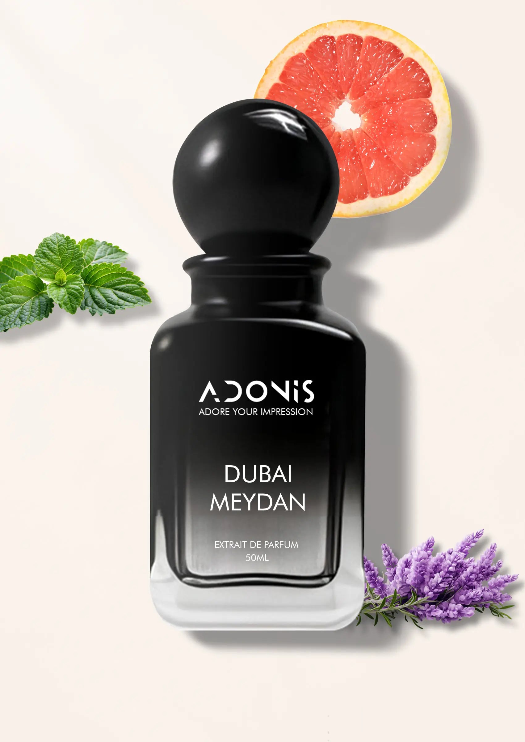 DUBAI MEYDAN