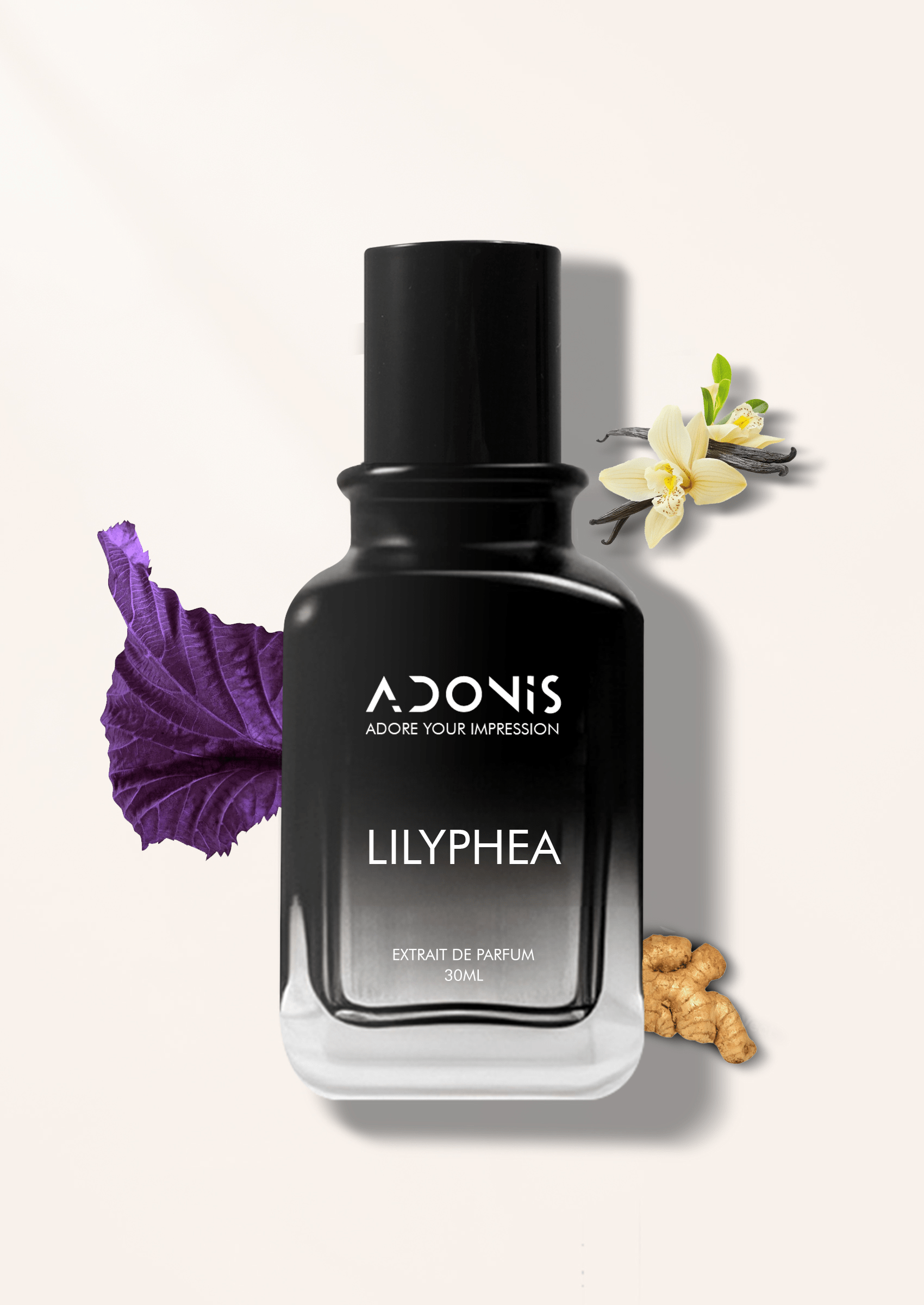 LILYPHEA