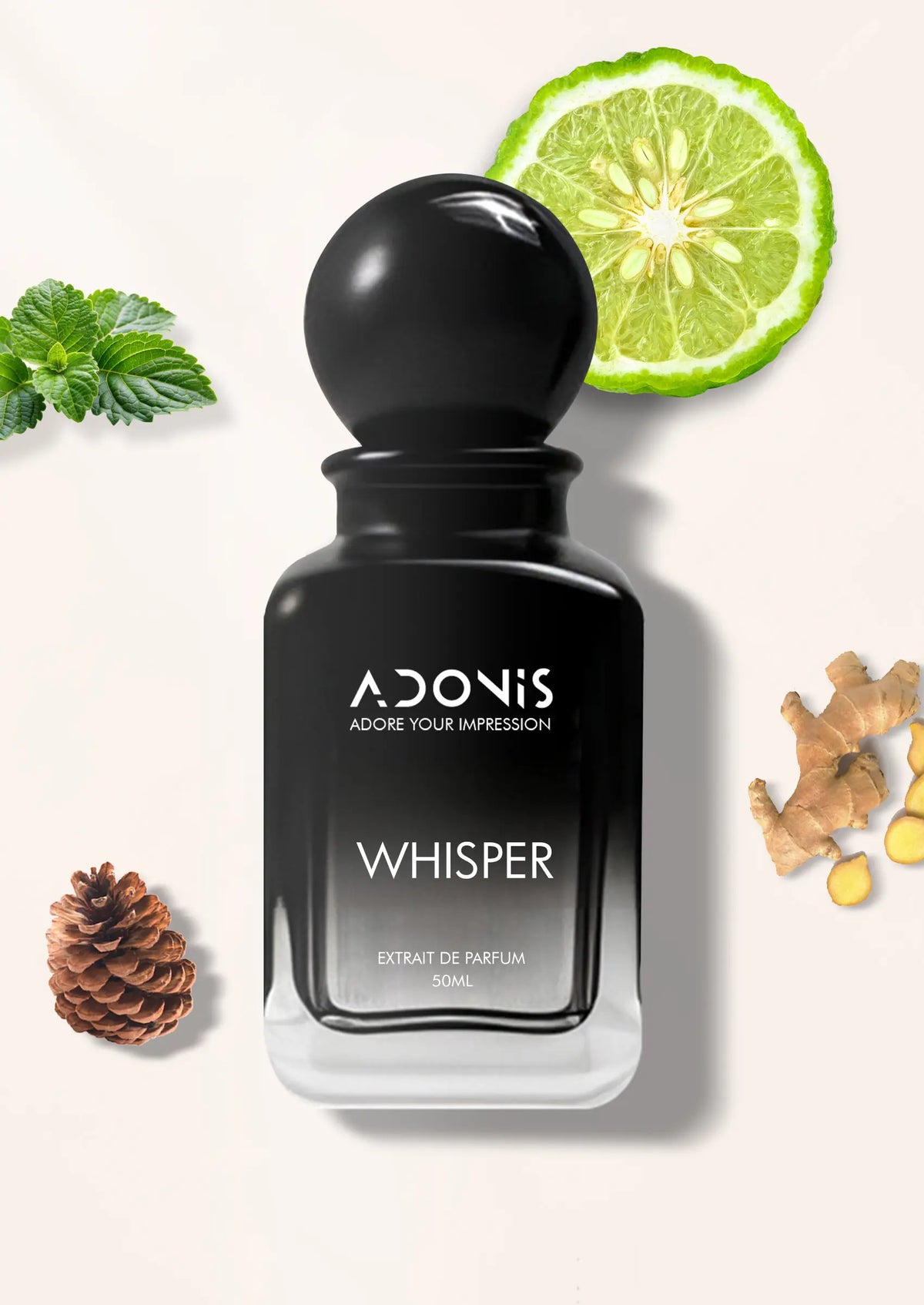 WHISPERS IN THE LIBRARY